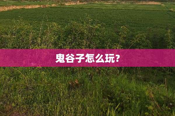 鬼谷子怎么玩？