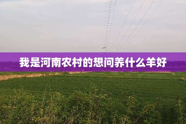 我是河南农村的想问养什么羊好