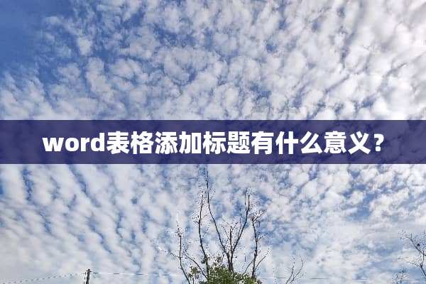 word表格添加标题有什么意义？