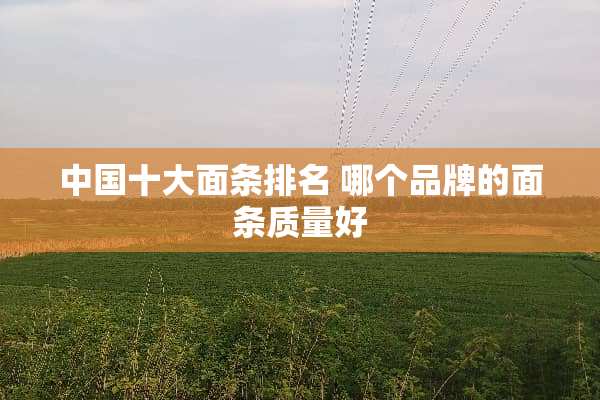 中国十大面条排名 哪个品牌的面条质量好