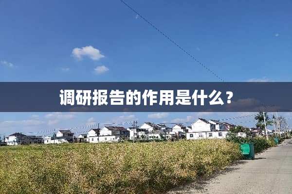调研报告的作用是什么？