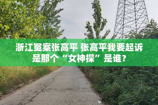 浙江冤案张高平 张高平我要起诉是那个“女神探”是谁？