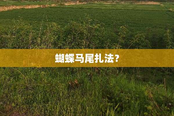 蝴蝶马尾扎法？
