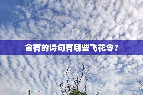 含有的诗句有哪些飞花令？