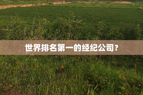 世界排名第一的经纪公司？