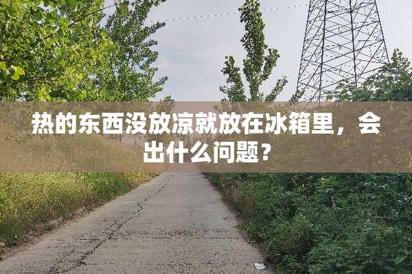 热的东西没放凉就放在冰箱里，会出什么问题？