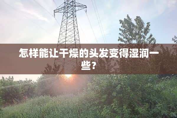 怎样能让干燥的头发变得湿润一些？