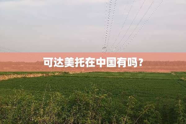 可达美托在中国有吗？