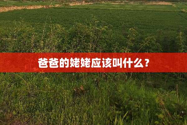 爸爸的姥姥应该叫什么？