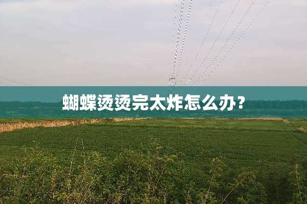 蝴蝶烫烫完太炸怎么办？