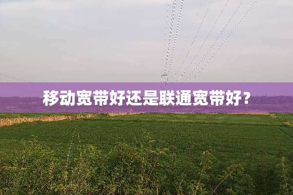 移动宽带好还是联通宽带好？