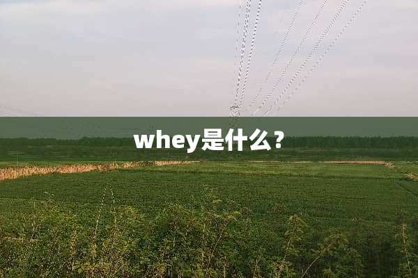 whey是什么？