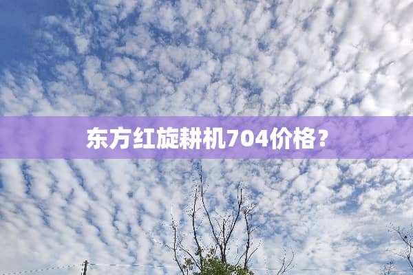 东方红旋耕机704价格？