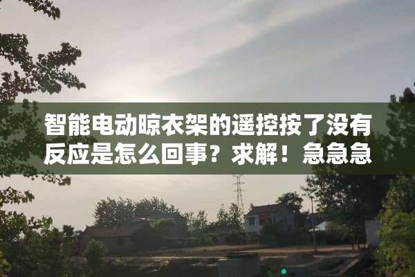 智能电动晾衣架的遥控按了没有反应是怎么回事？求解！急急急！