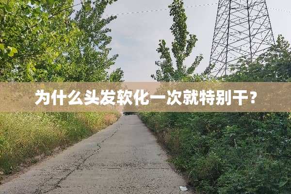 为什么头发软化一次就特别干？