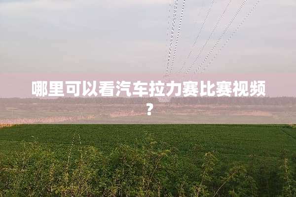 哪里可以看汽车拉力赛比赛视频？