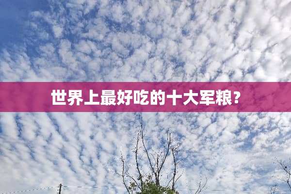 世界上最好吃的十大军粮？