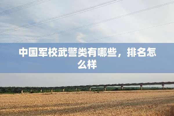 中**校**类有哪些，排名怎么样