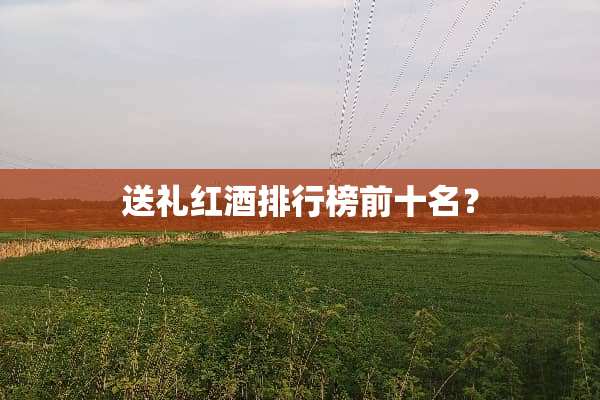 送礼红酒排行榜前十名？