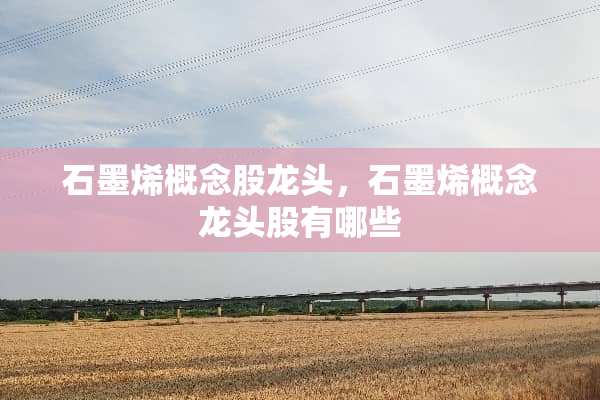 石墨烯概念股龙头，石墨烯概念龙头股有哪些