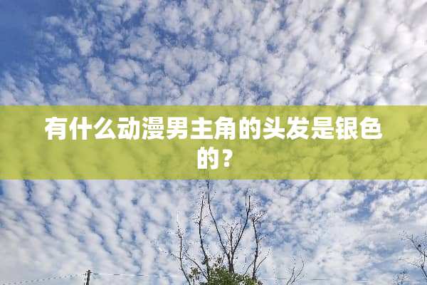 有什么动漫男主角的头发是银色的？
