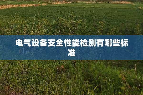 电气设备安全性能检测有哪些标准