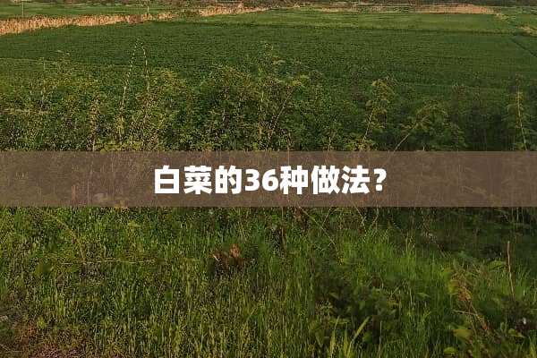白菜的36种做法？