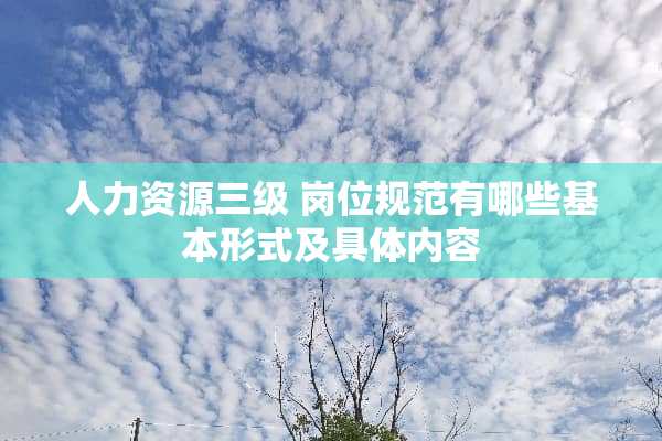 人力资源** 岗位规范有哪些基本形式及具体内容