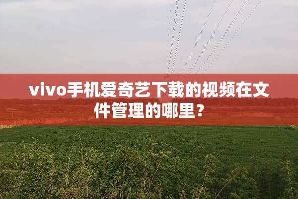 vivo手机爱奇艺下载的视频在文件管理的哪里？