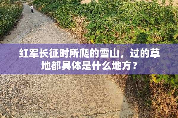 **长征时所爬的雪山，过的草地都具体是什么地方？