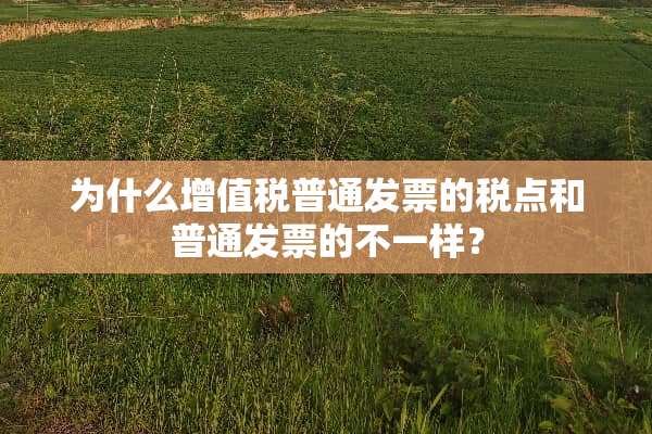 为什么***普通**的税点和普通**的不一样？