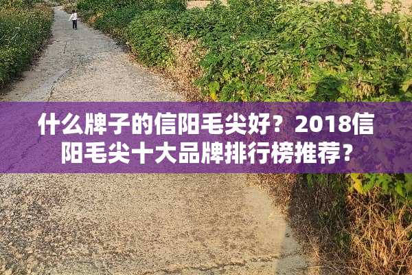 什么牌子的信阳毛尖好？2018信阳毛尖十大品牌排行榜推荐？