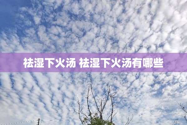 祛湿下火汤 祛湿下火汤有哪些