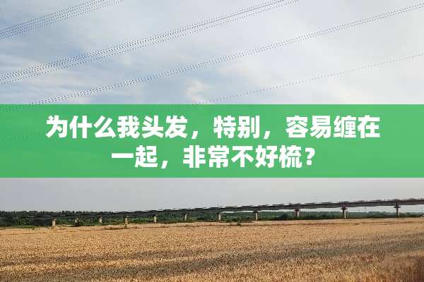 为什么我头发，特别，容易缠在一起，非常不好梳？