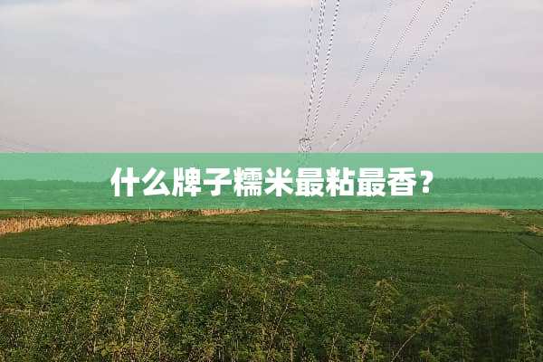 什么牌子糯米最粘最香？