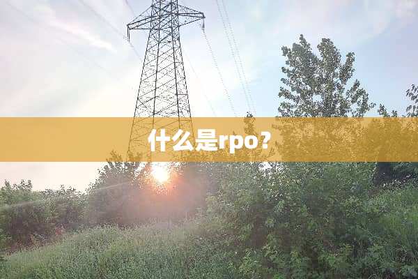 什么是rpo？