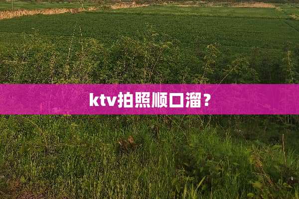 ktv拍照顺口溜？