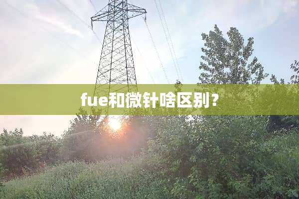 fue和微针啥区别？