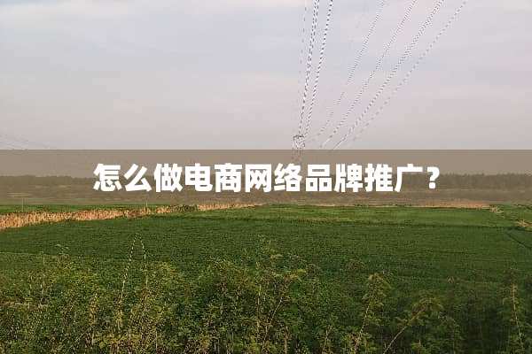 怎么做电商网络品牌推广？