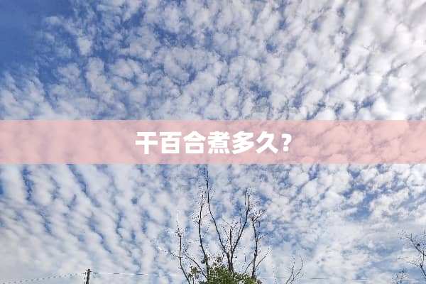 干百合煮多久？