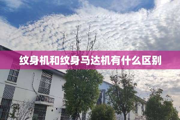 纹身机和纹身马达机有什么区别