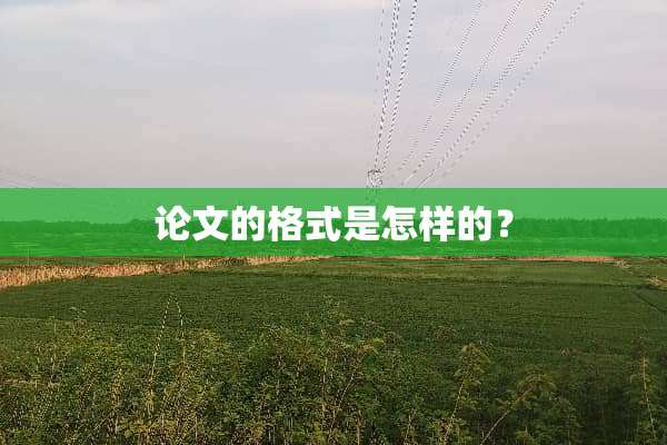 论文的格式是怎样的？