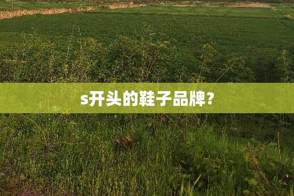 s开头的鞋子品牌？