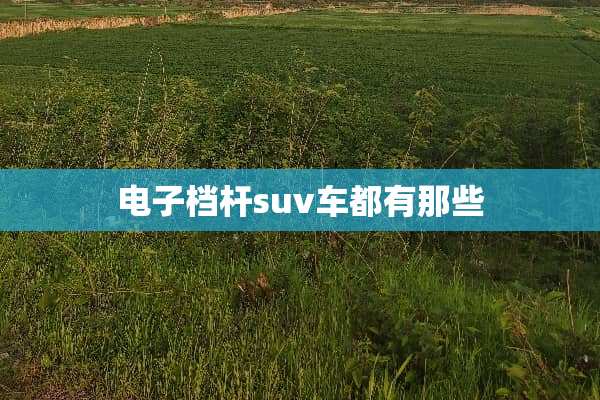 电子档杆suv车都有那些