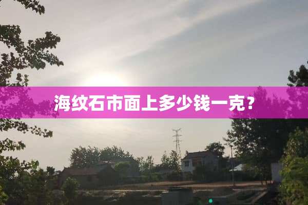 海纹石市面上多少钱一克？