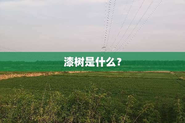 漆树是什么？