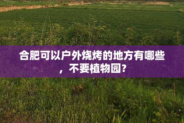 合肥可以户外烧烤的地方有哪些，不要植物园？