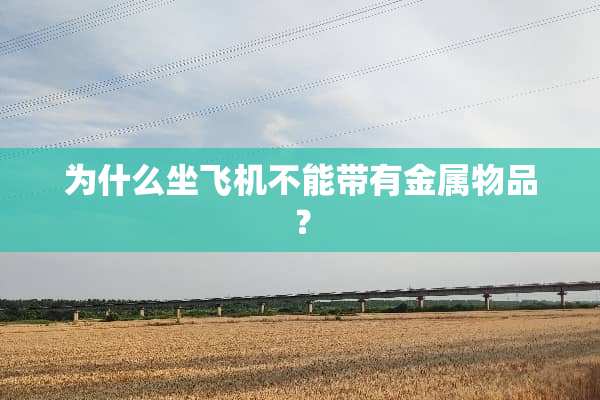为什么坐飞机不能带有金属物品？