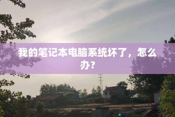 我的笔记本电脑系统坏了，怎么办？