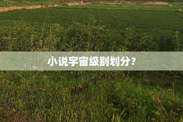 小说宇宙级别划分？